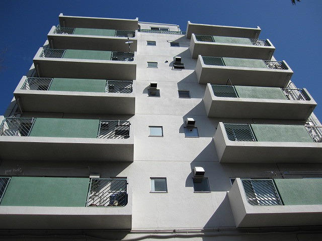 ���ʐ^�{����