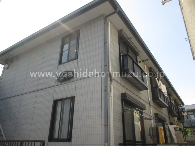 ���ʐ^�{����