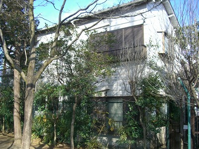 ���ʐ^�{����