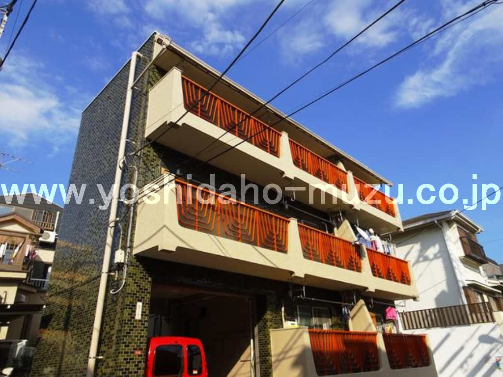 ���ʐ^�{����