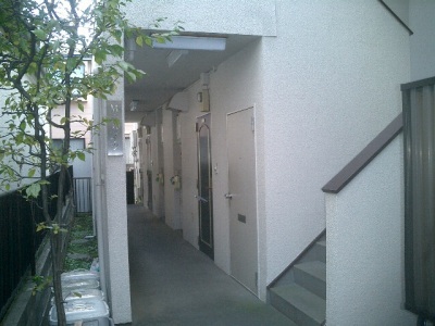 ���ʐ^�{����