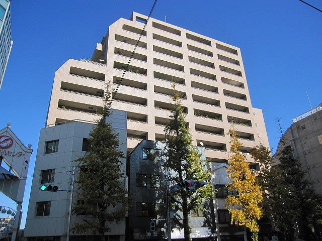 ���ʐ^�{����