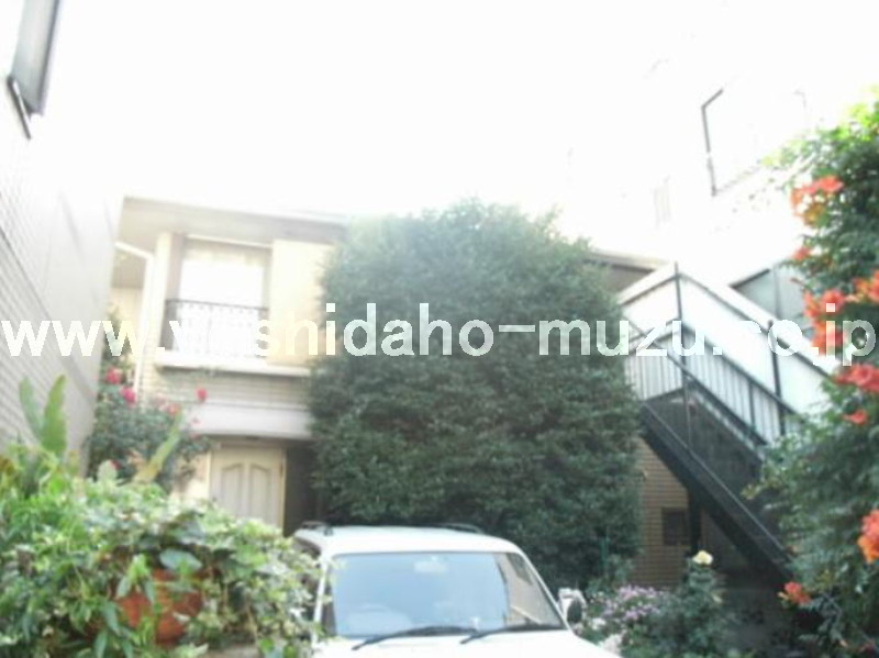 ���ʐ^�{����