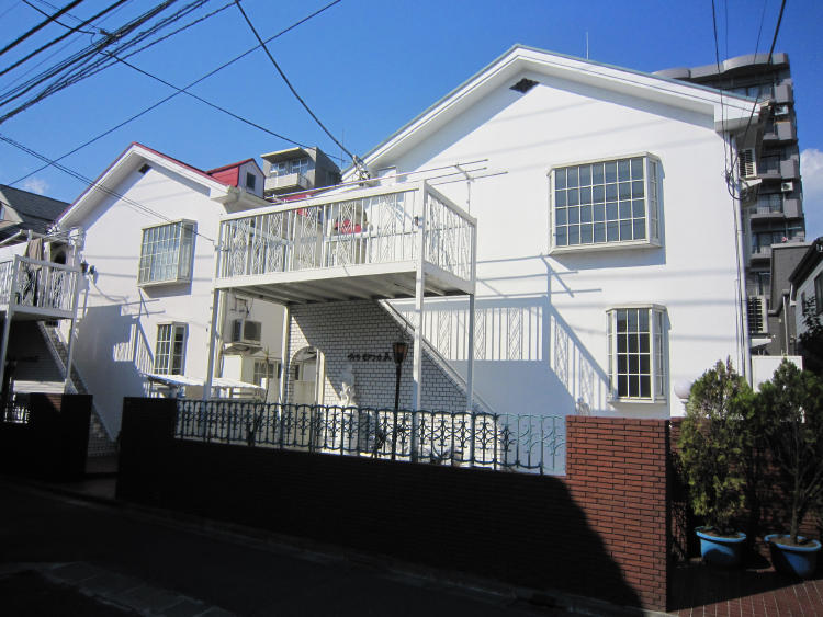 ���ʐ^�{����