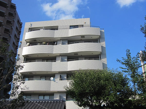 ���ʐ^�{����