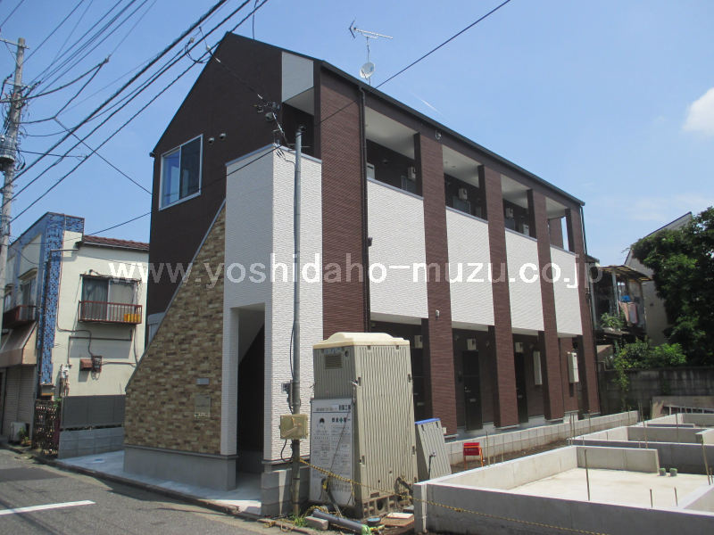 ���ʐ^�{����