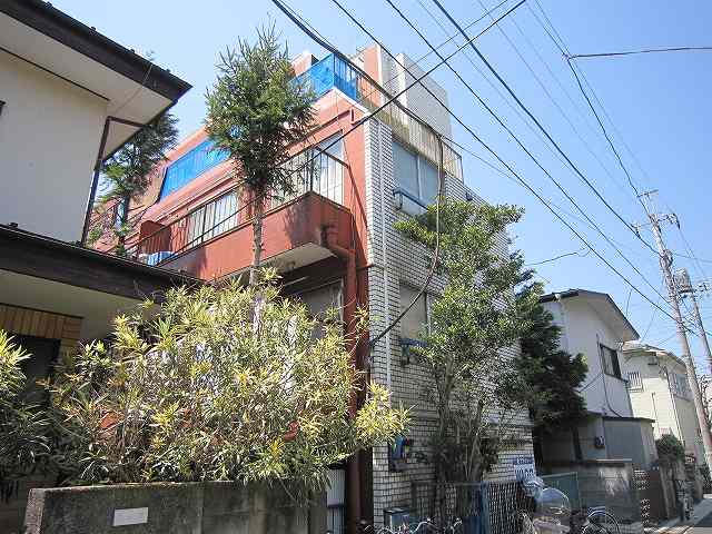 ���ʐ^�{����