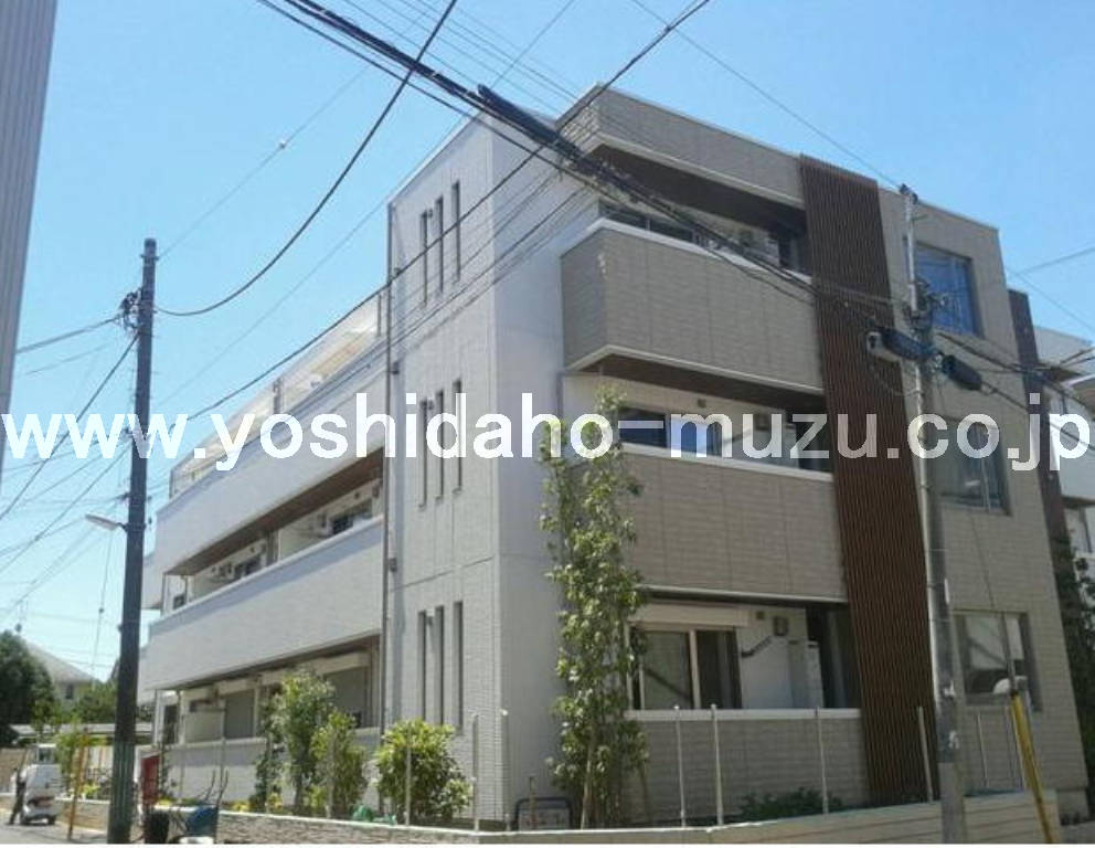 ���ʐ^�{����