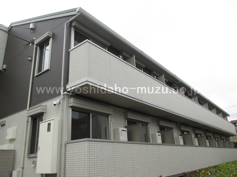 ���ʐ^�{����